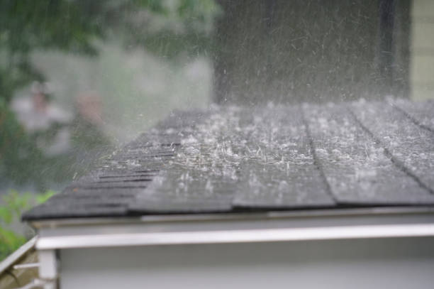 Best Rubber Roofing (EPDM, TPO)  in Springdale, SC